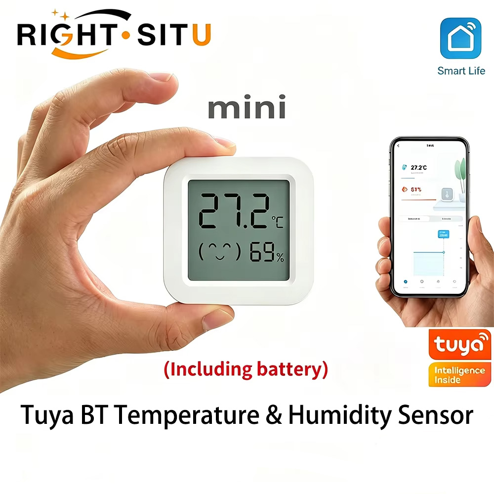 Digital Hygrometer Probe - Tuya 온도 습도 센서 미니 LCD