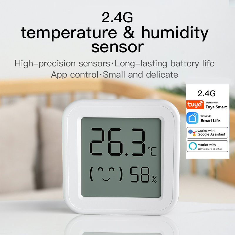 Digital Hygrometer Probe - 블루투스 온도 습도 센서 미니 LCD