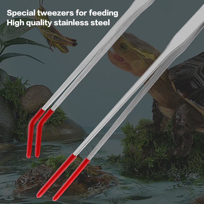 스테인레스 스틸 파충류 먹이주기용 집게 고무팁 수족관용 - Feeding Tong Stainless 리뷰 및 가격