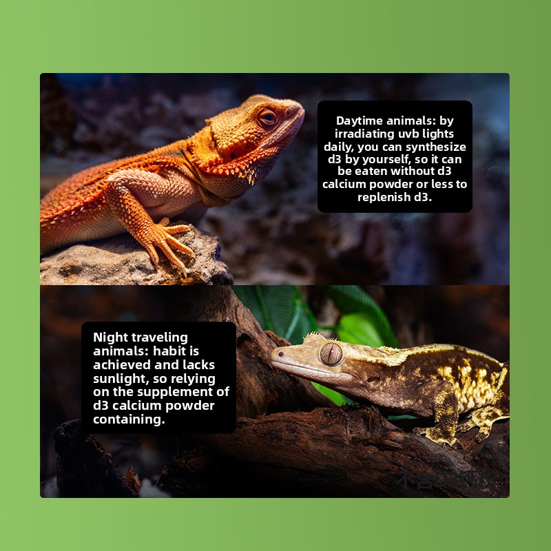 Reptizoo 파충류 칼슘 파우더&D3-거북이, 수염 - Vitamin D3 Reptile 리뷰 및 가격